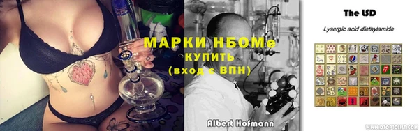 бошки Бронницы