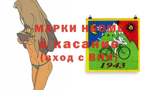 бошки Бронницы