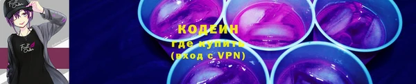 трава Белокуриха