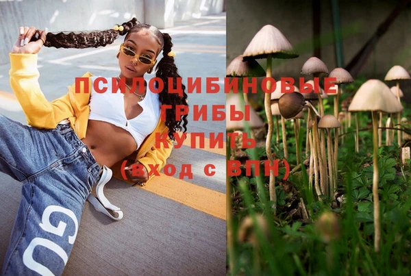 бошки Бронницы