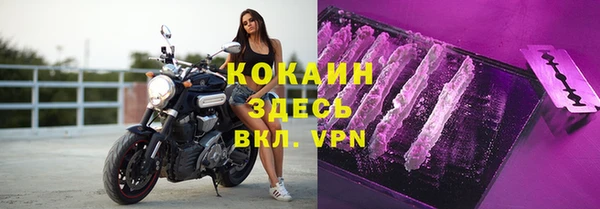 бошки Бронницы